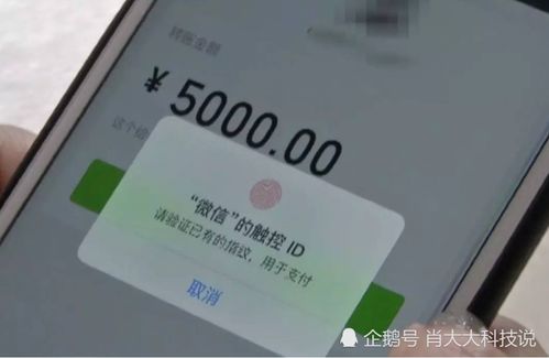 鸿蒙系统的挑战 为何Teams安装问题成为用户关注的焦点